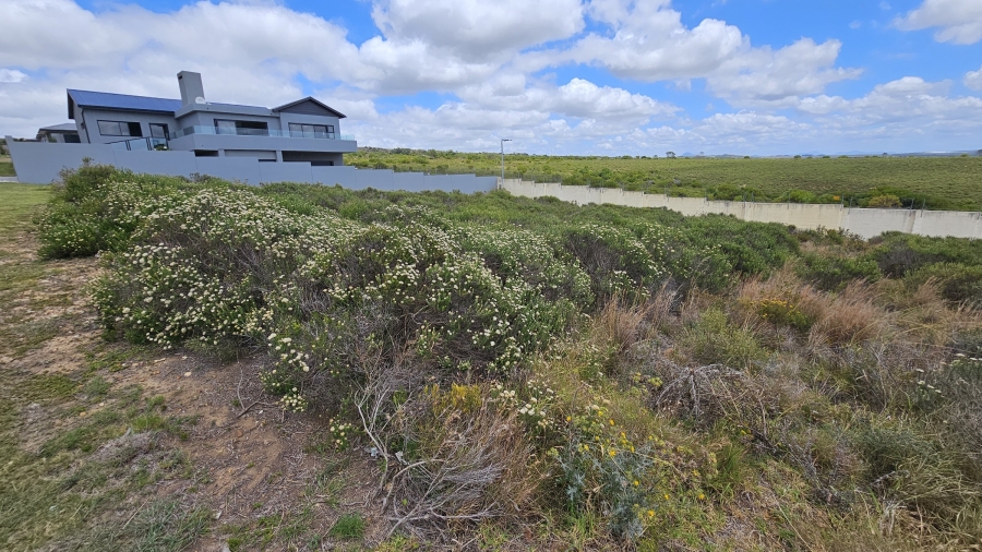0 Bedroom Property for Sale in Blue Waters Estate Eastern Cape
